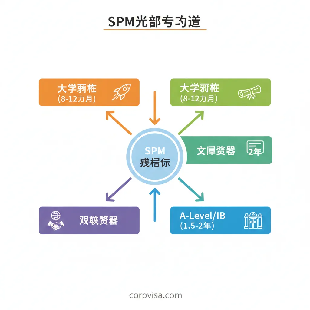 设计一个信息图表（Infographic），可视化文章第2节的SPM升学途径。图表中心是'SPM 成绩单'，四条放射状箭头分别指向：'大学预科（Foundation, 8-12个月）'、'文凭课程（Diploma, 2年）'、'A-Level/IB（1.5-2年）'和'双联课程（Twinning Program）'。每条路径旁配有一个小的标志性图标（例如：预科是一个火箭图标代表快速，A-Level是常春藤校门代表顶尖）。整体采用现代扁平化设计，色彩区分四条路径，使路径对比清晰易懂。